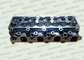 11039-43G03 Cilinderkop Autodelen, Het Type van GietijzerCilinderkop voor NISSAN TD27