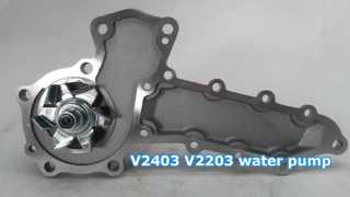 V2403 V2203 waterpomp