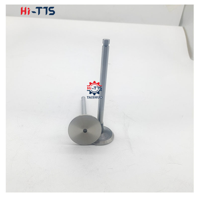 4BT 6BT 6D102 Inlaatklep van dieselmotoren Uitlaatklep 4995554 3901117 3920867 3920868