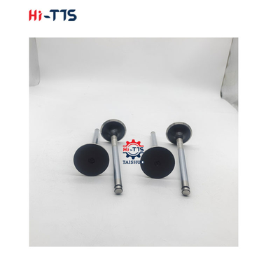 D2366 Inlaatklep voor dieselmotoren 6504101-0044