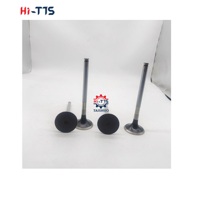 D2366 Inlaatklep voor dieselmotoren 6504101-0044