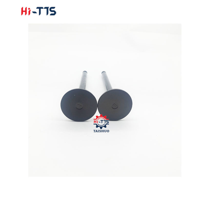 6D22 6D24 Dieselmotor Onderdelen Inlaatgasklep ME051063/ME051064