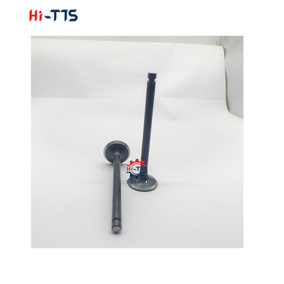 6D22 6D24 Dieselmotor Onderdelen Inlaatgasklep ME051063/ME051064