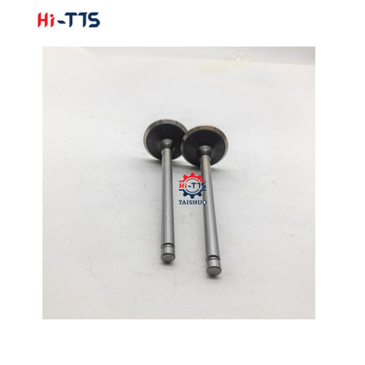 6BT 4BT Dieselmotor Onderdelen Inlaatklep 3901117 3920867 3920868