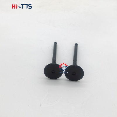 Dieselmotoronderdelen Afvoerklep 129007-11110 voor 4TNV92 motor