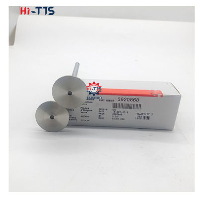 4BT 6BT 6D102 Inlaatklep van dieselmotoren Uitlaatklep 4995554 3901117 3920867 3920868