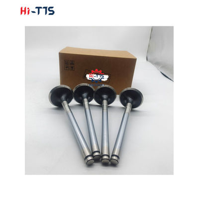 D2366 Inlaatklep voor dieselmotoren 6504101-0044