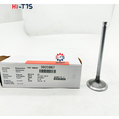 Goede prijs. 6BT 3920867 Afvalklep voor excavatoren en motoren voor de aftermarket online
