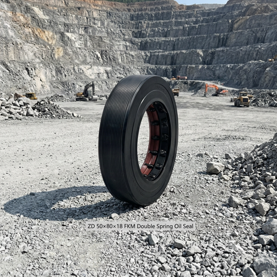 ZD50×80×18 Dubbele veer gecombineerd skelet olie afdichting Hoogtemperatuur oliebestendige rechthoekige structuur voor laadmachine versnellingsbak verlengde levensduur afdichting